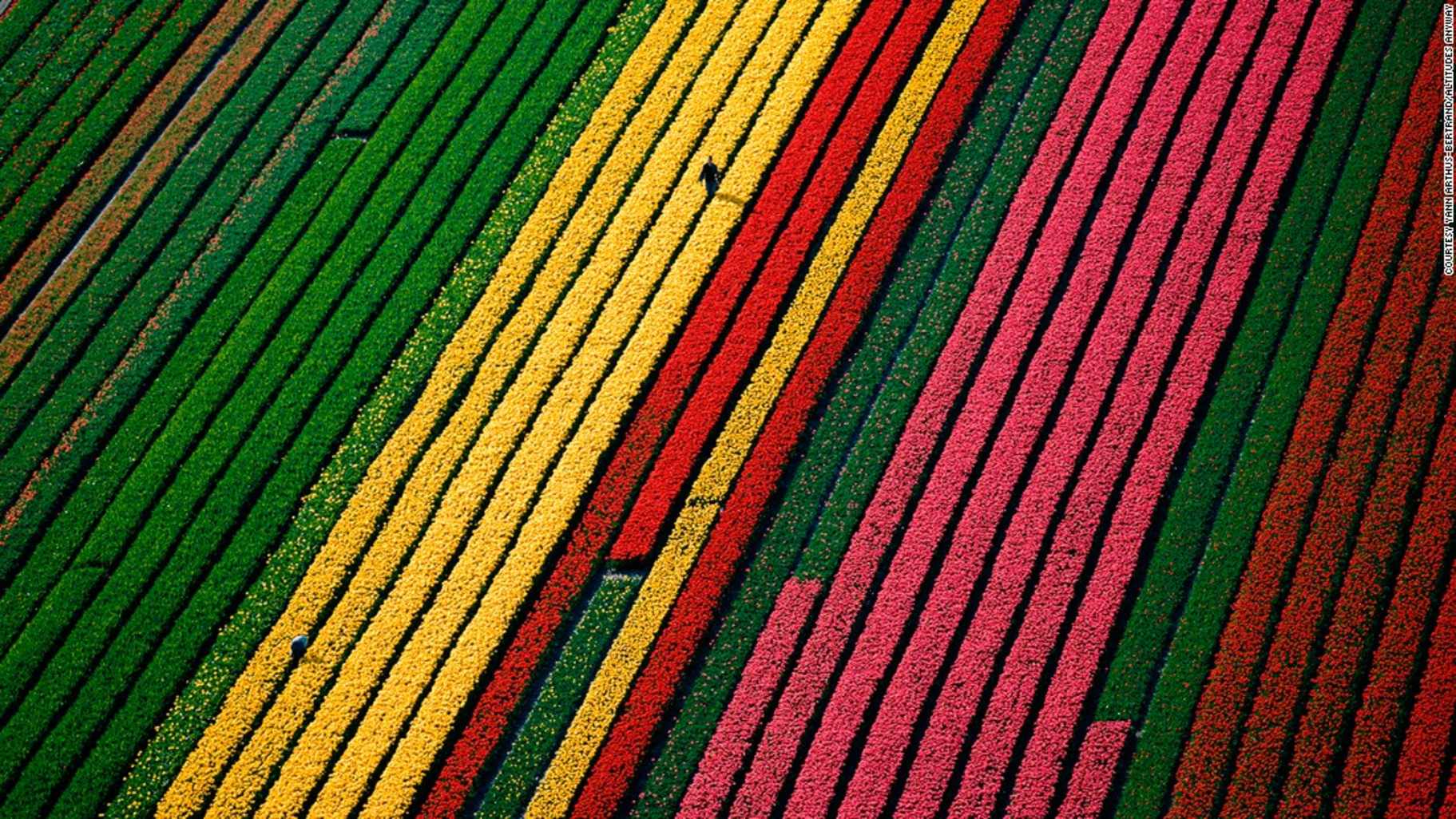 © Yann Arthus-Bertrand