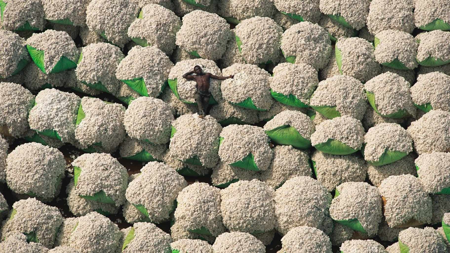 © Yann Arthus-Bertrand