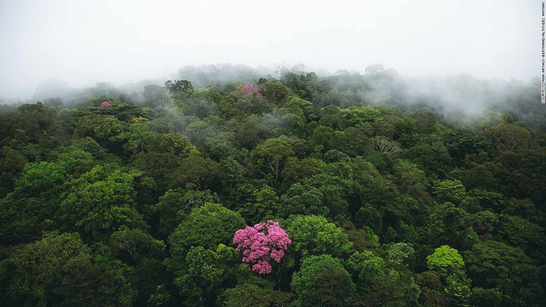 © Yann Arthus-Bertrand