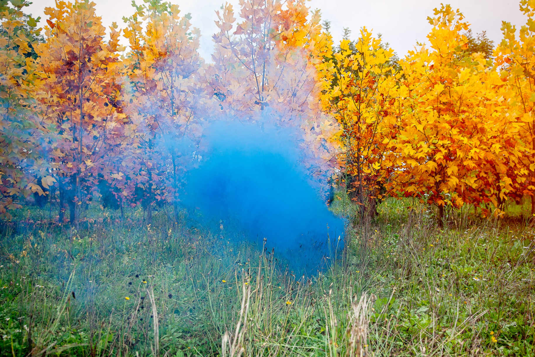 © Filippo Minelli